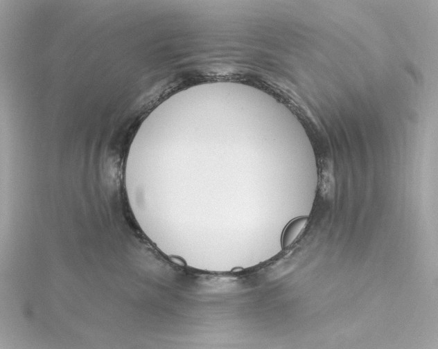 X0000115430476200911251229