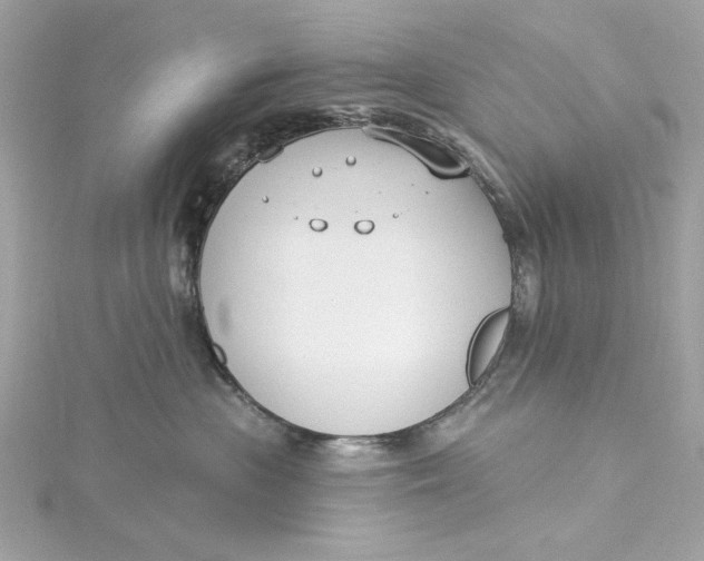 X0000115430477200911251229