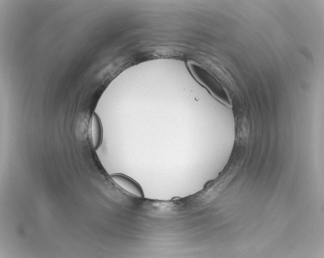 X0000115430478200911251229