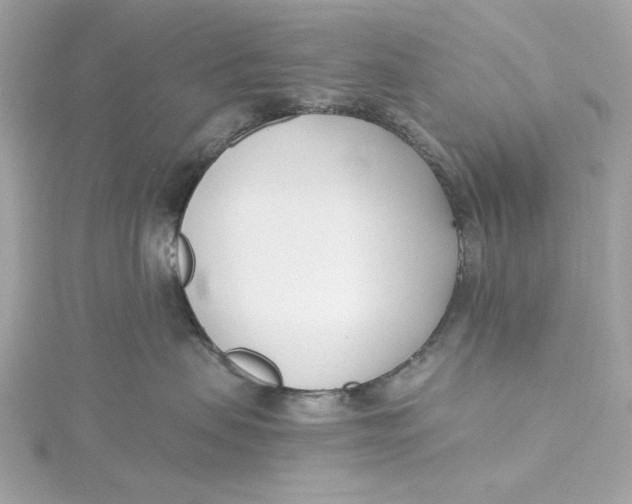 X0000115430479200911251229