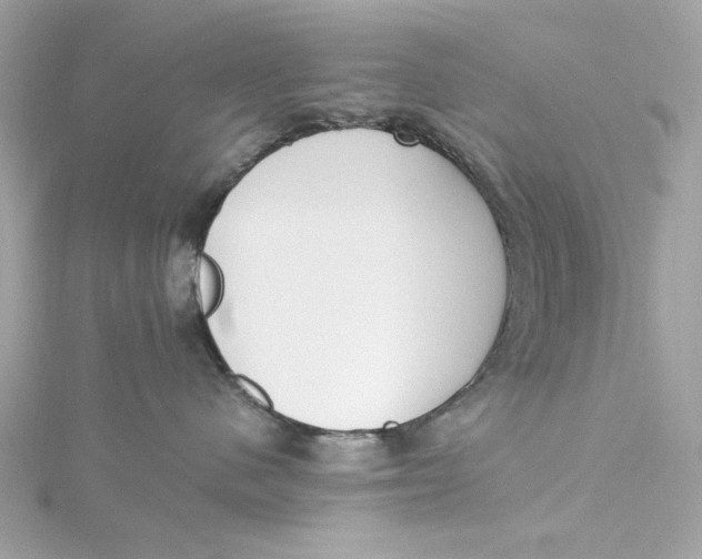 X0000115430480200911251229