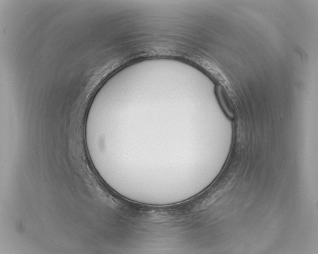 X0000115430481200911251229