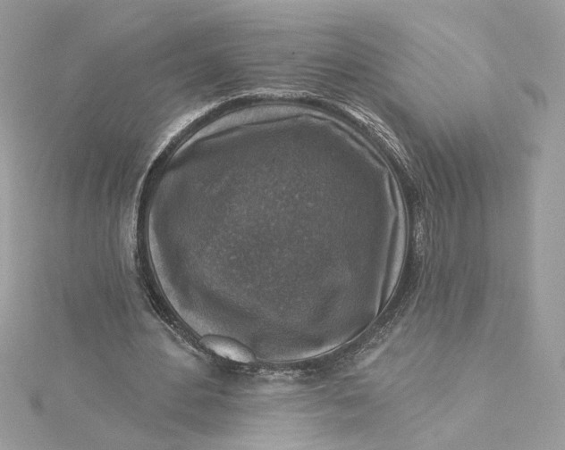 X0000115430484200911251229