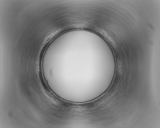 X0000115430486200911251229