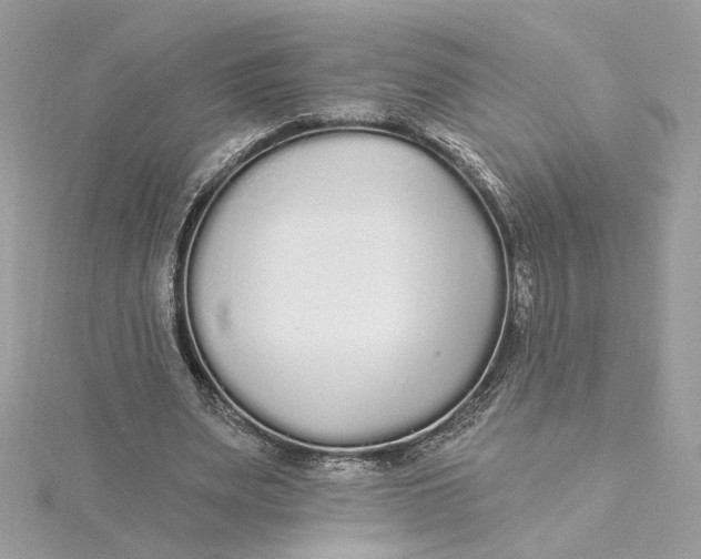 X0000115430487200911251229