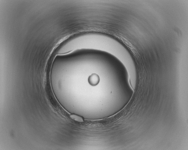 X0000115430488200911251229