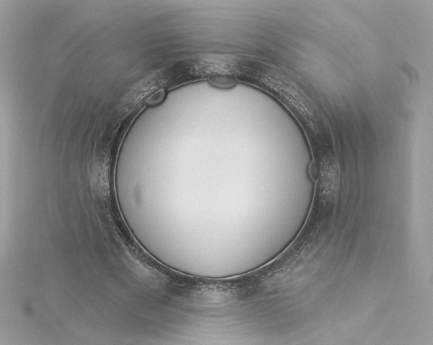 X0000115430489200911251229