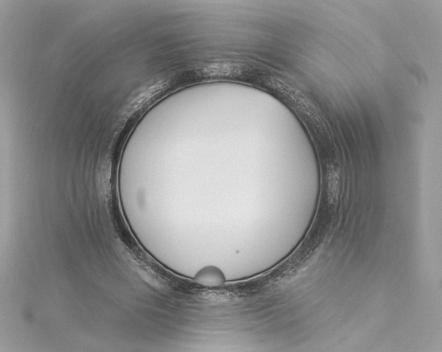 X0000115430490200911251229