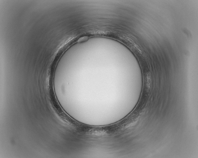 X0000115430491200911251229