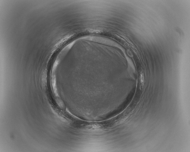 X0000115430492200911251228