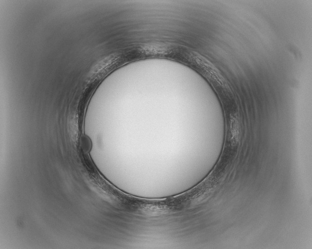 X0000115430494200911251228