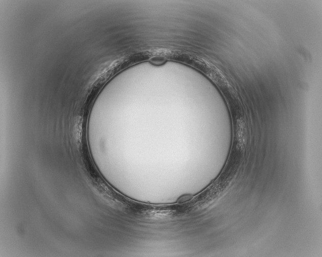 X0000115430495200911251228