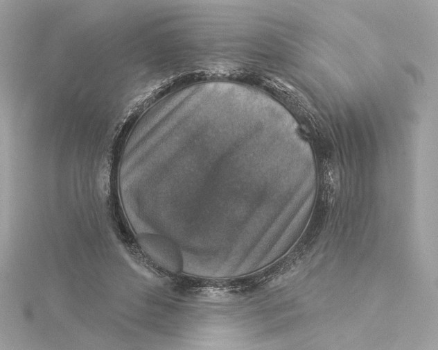 X0000115430496200911251228