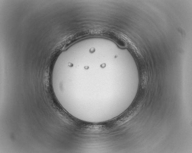 X0000115430497200911251228