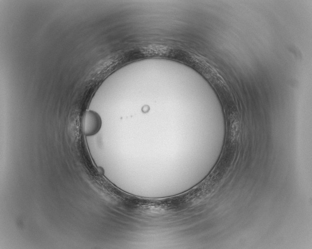 X0000115430498200911251228