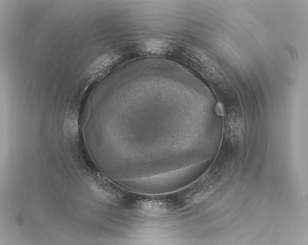 X0000115430500200911251228