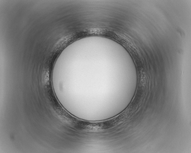 X0000115430502200911251228