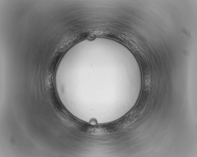 X0000115430503200911251228