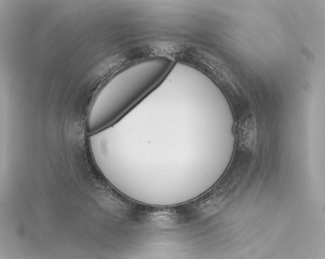 X0000115430505200911251228