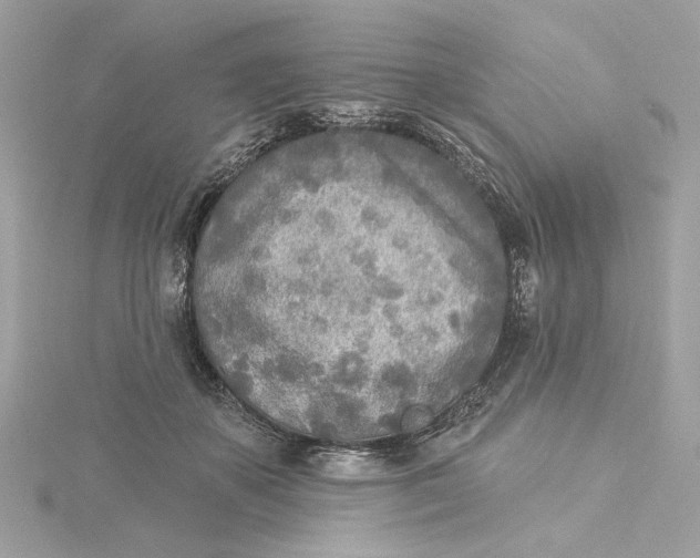 X0000115430507200911251228