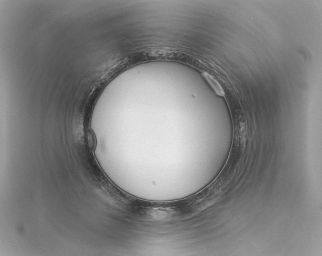 X0000115430508200911251228