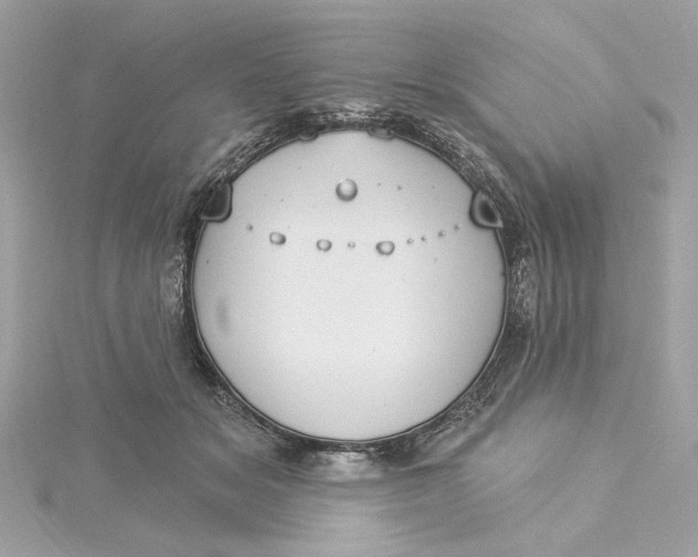 X0000115430509200911251228