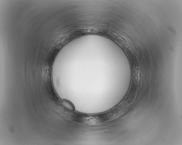 X0000115430511200911251228