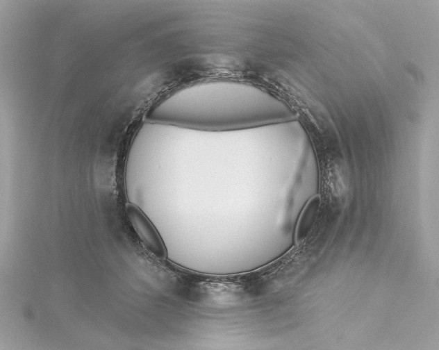 X0000115430512200911251228