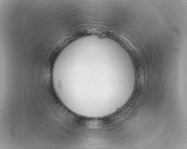 X0000115430513200911251228