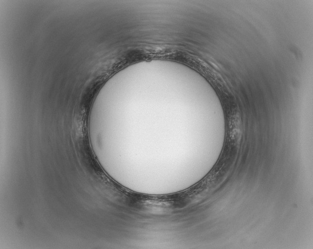 X0000115430515200911251228