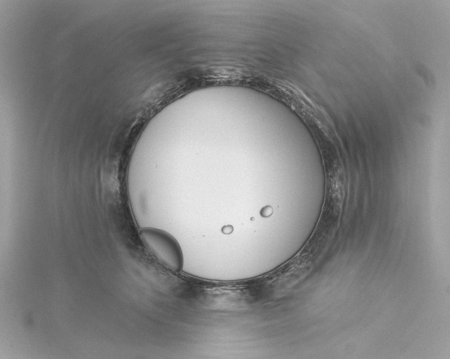 X0000115430516200911251228