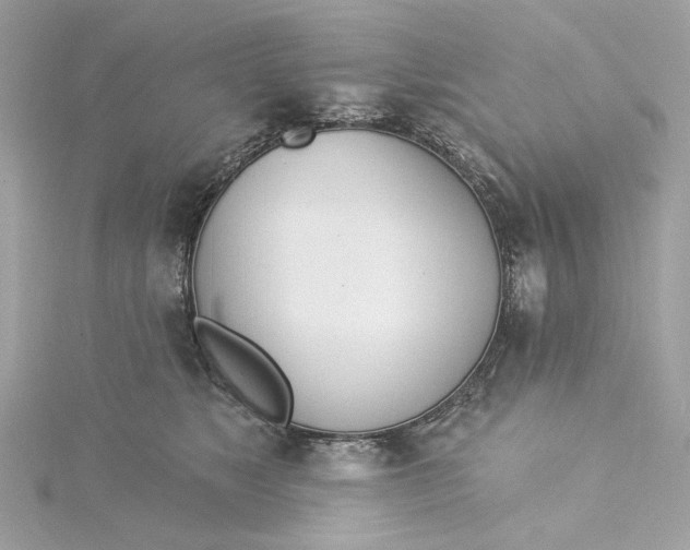 X0000115430517200911251228