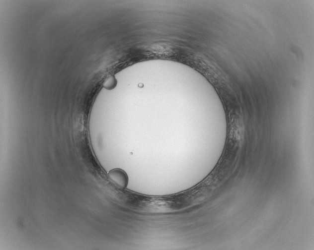 X0000115430518200911251228