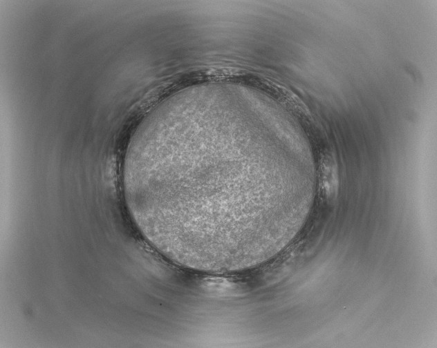 X0000115430519200911251228