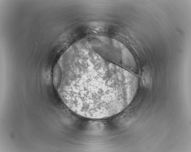 X0000115430520200911251228