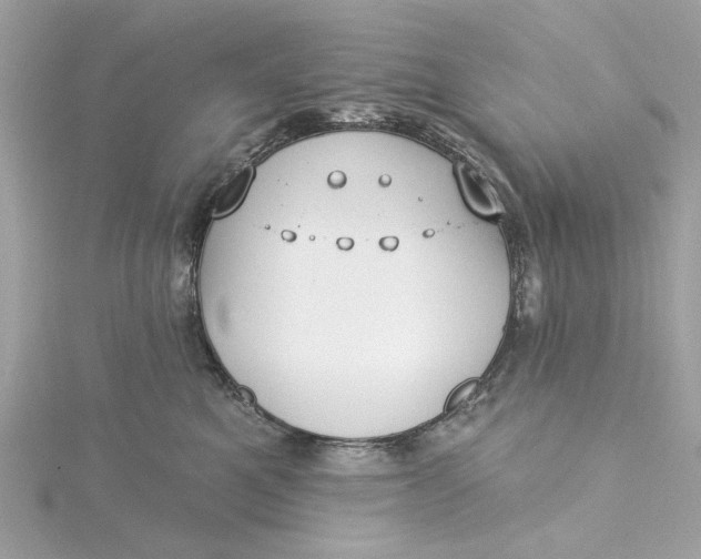 X0000115430521200911251228