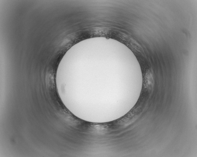 X0000115430522200911251228