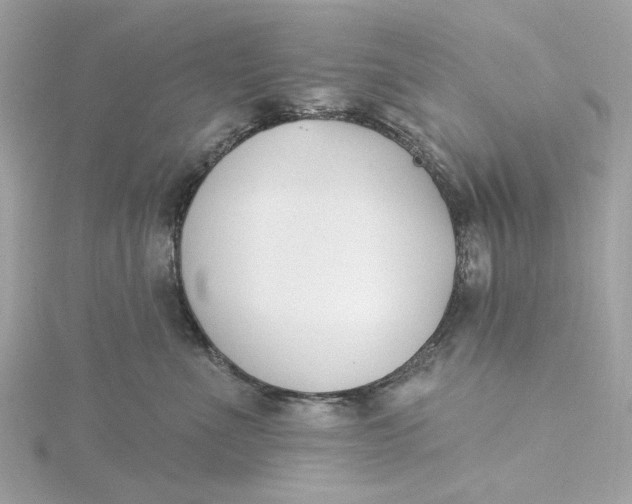 X0000115430523200911251228