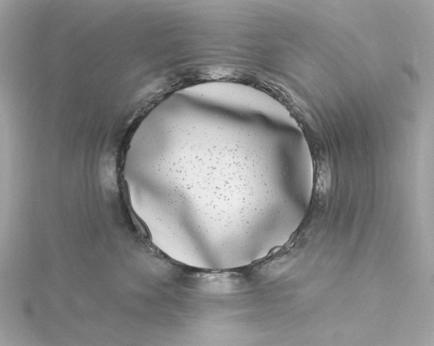 X0000115430524200911251228