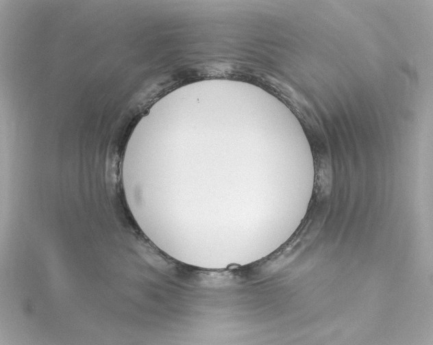 X0000115430525200911251228