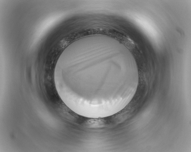 X0000115430526200911251228