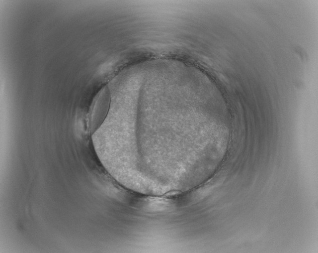 X0000115430528200911251228