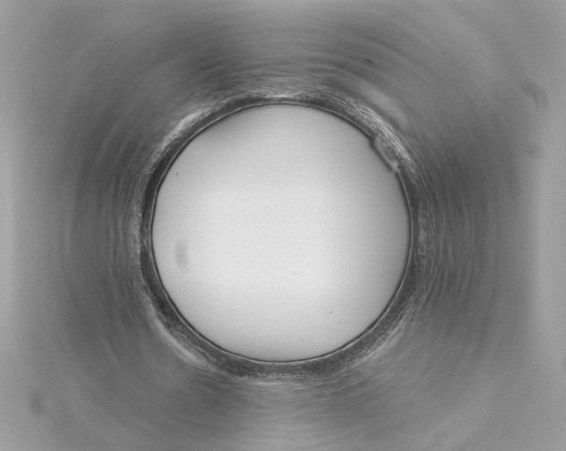 X0000115430530200911251227