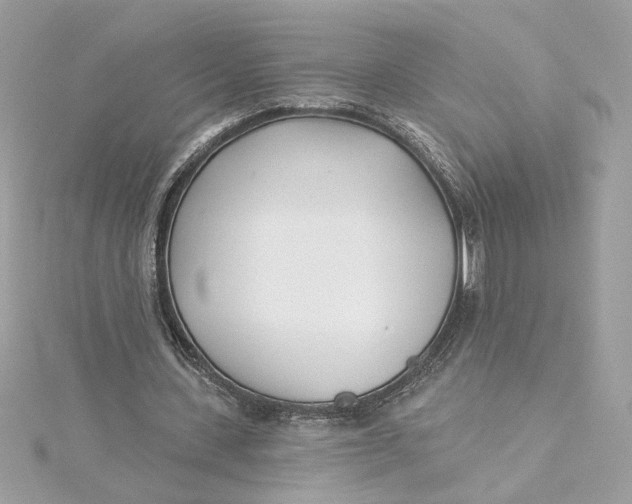 X0000115430531200911251227