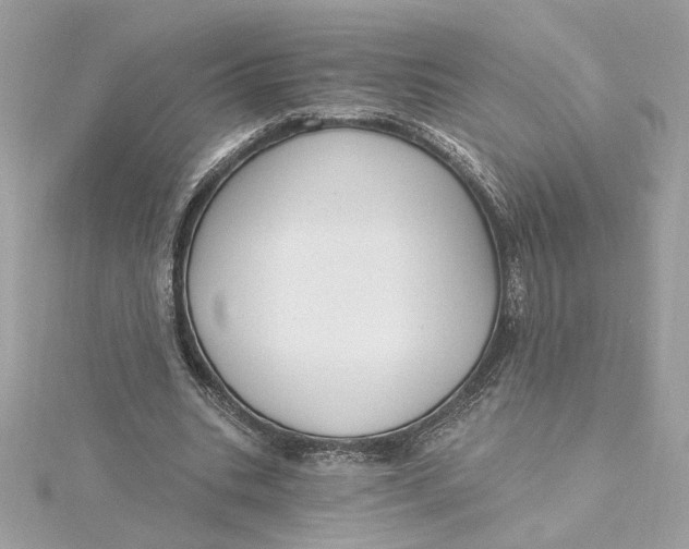 X0000115430535200911251227