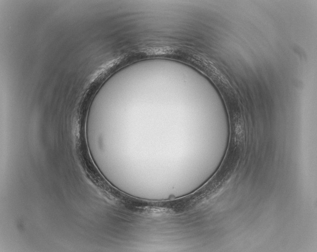 X0000115430539200911251228