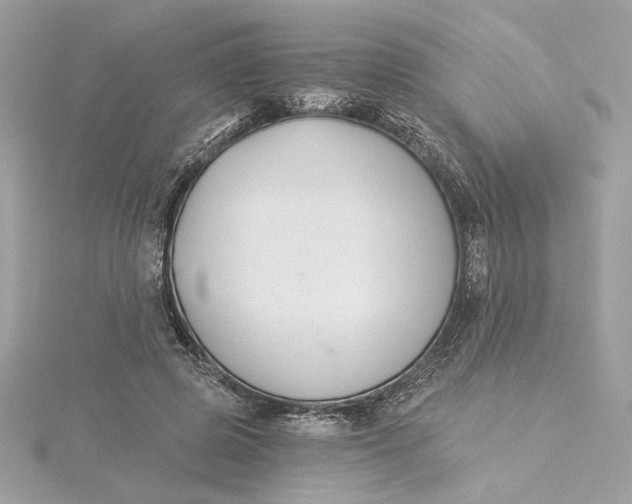 X0000115430545200911251228