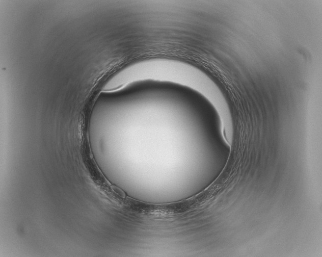 X0000115430546200911251228