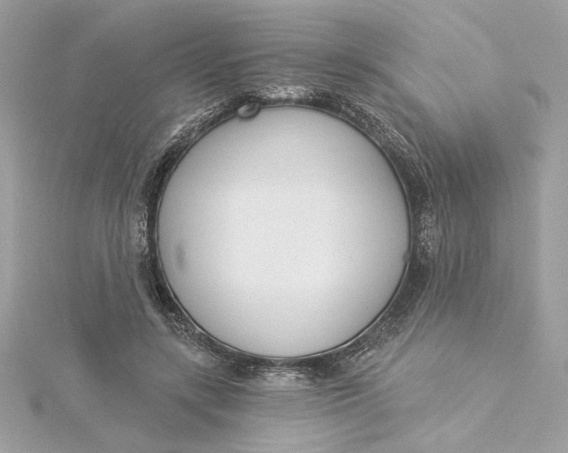 X0000115430547200911251228