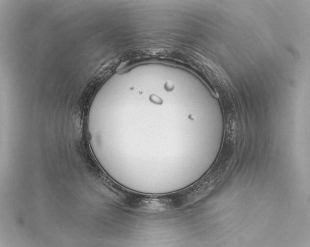 X0000115430558200911251228